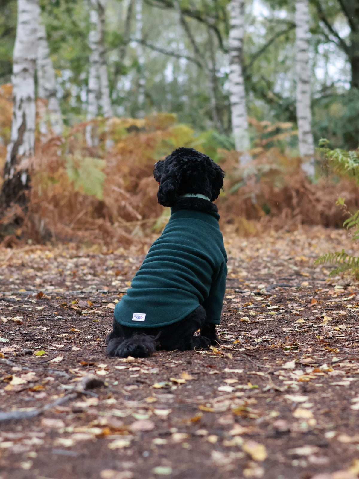 Ready To Ship | Polar Fleece | Two Legged - Bottle Green