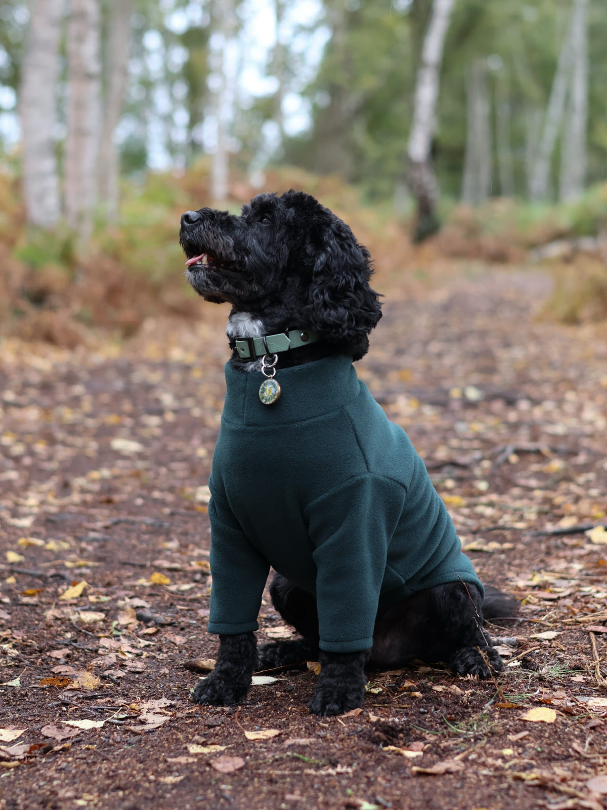 Ready To Ship | Polar Fleece | Two Legged - Bottle Green