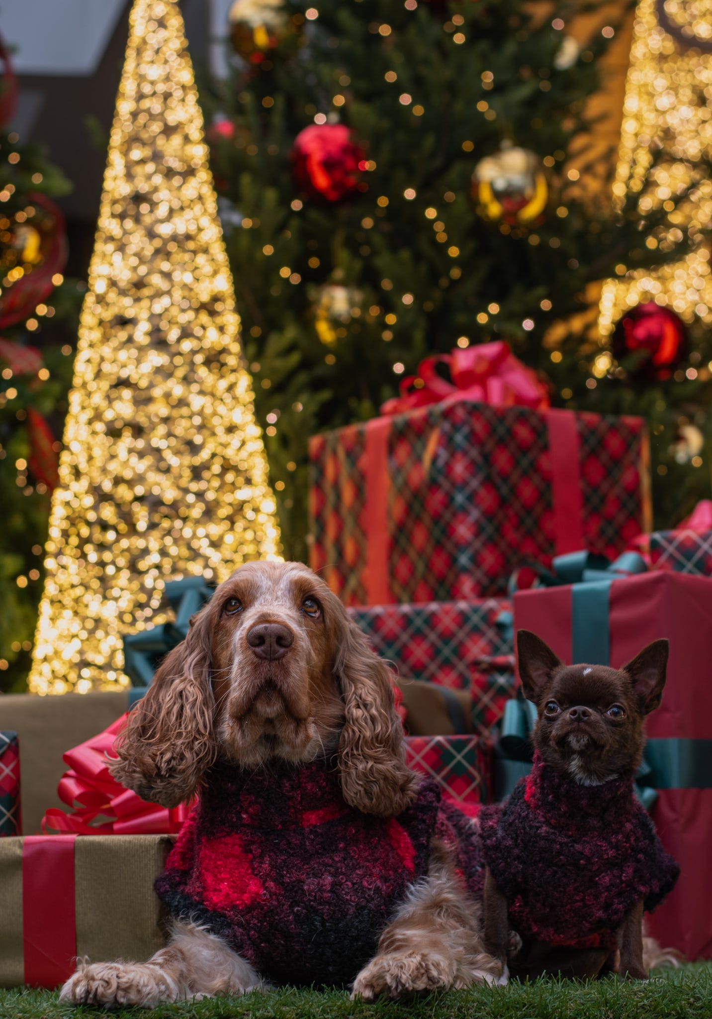 Custom Made | Teddy Borg Jumper | Tankie - Festive Borg