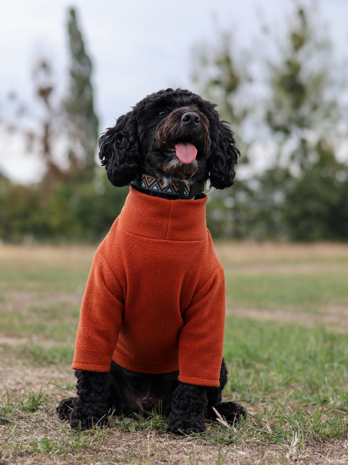 Ready To Ship | Polar Fleece | Two Legged - Rust