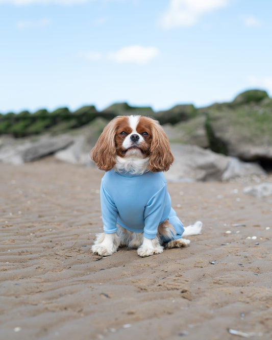 Ready To Ship | Summer Suit | Four Legged - Sky Blue