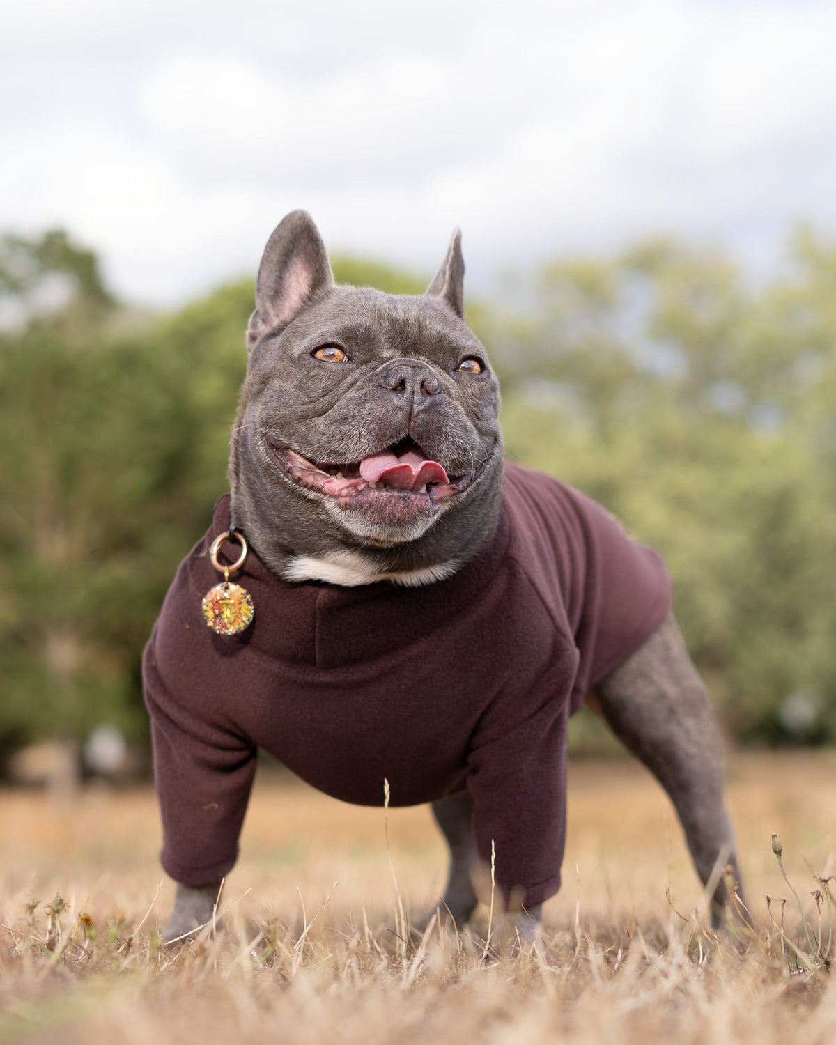 Ready To Ship | Polar Fleece | Two Legged - Chocolate