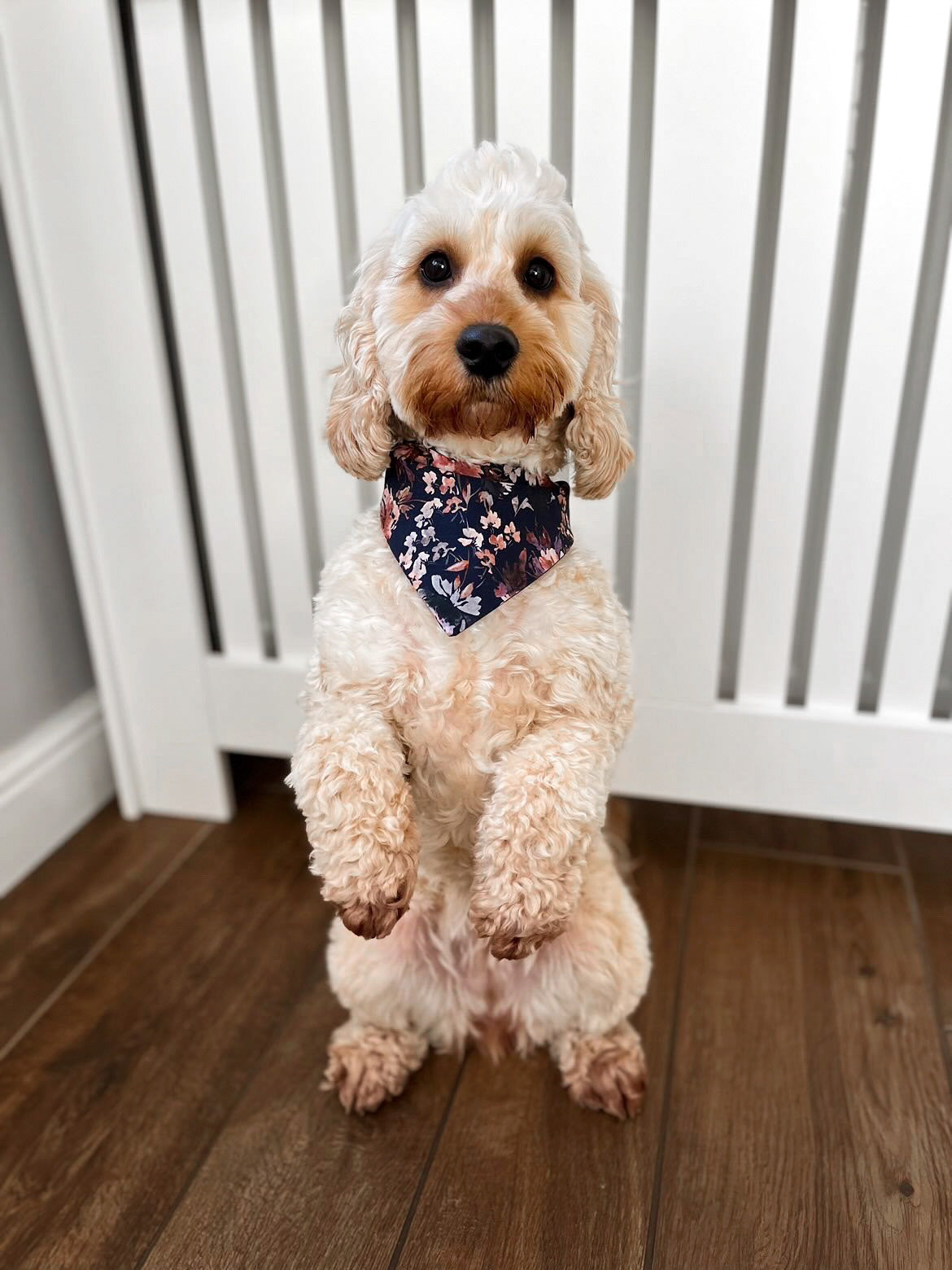 Bandana - Navy Autumn Blooms