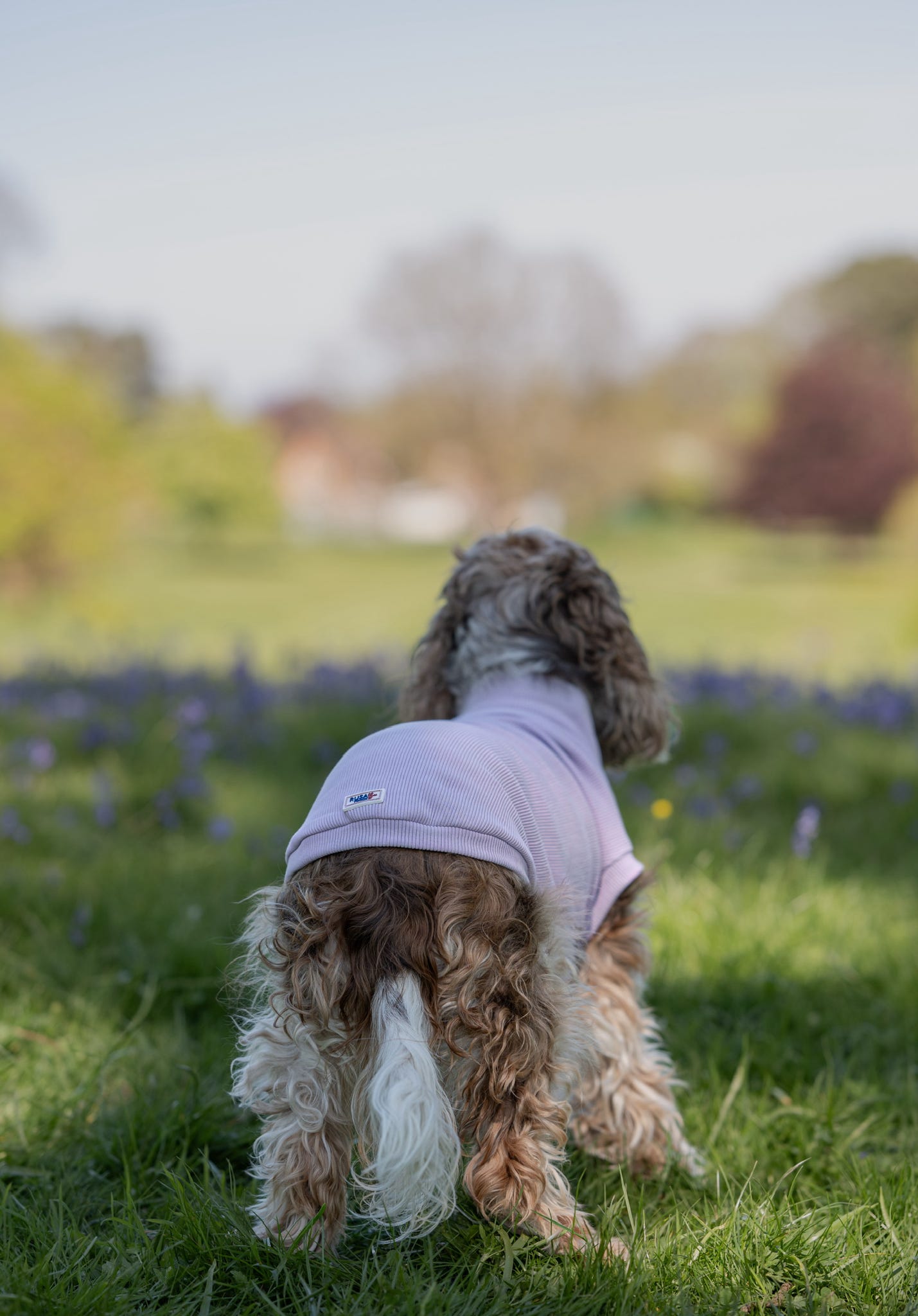 Custom Made | Jersey Rib | Tankie - Lavender