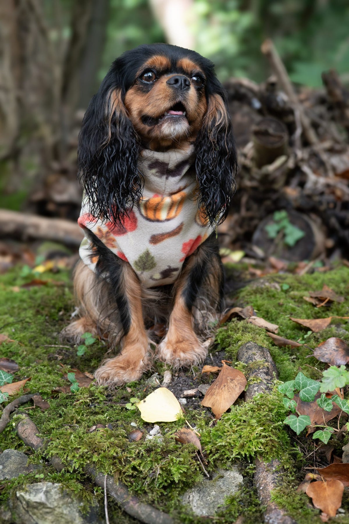 Custom Made | Polar Fleece | Tankie - Autumn Pumpkin Print