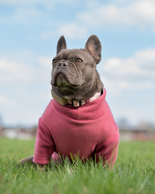 Ready To Ship | Polar Fleece | Two Legged - Mauve