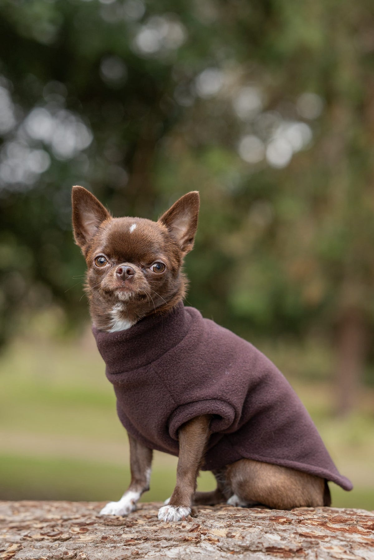 Ready To Ship | Polar Fleece | Tankie - Chocolate