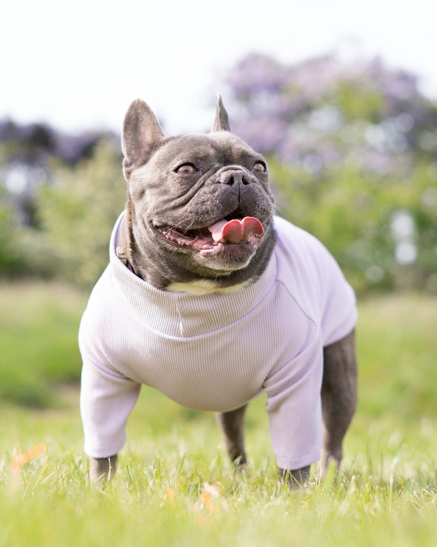 Custom Made | Jersey Rib | Two Legged - Lavender