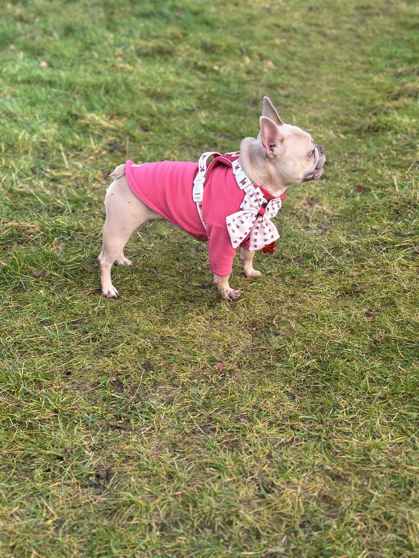 Custom Made | Polar Fleece | Two Legged - Coral