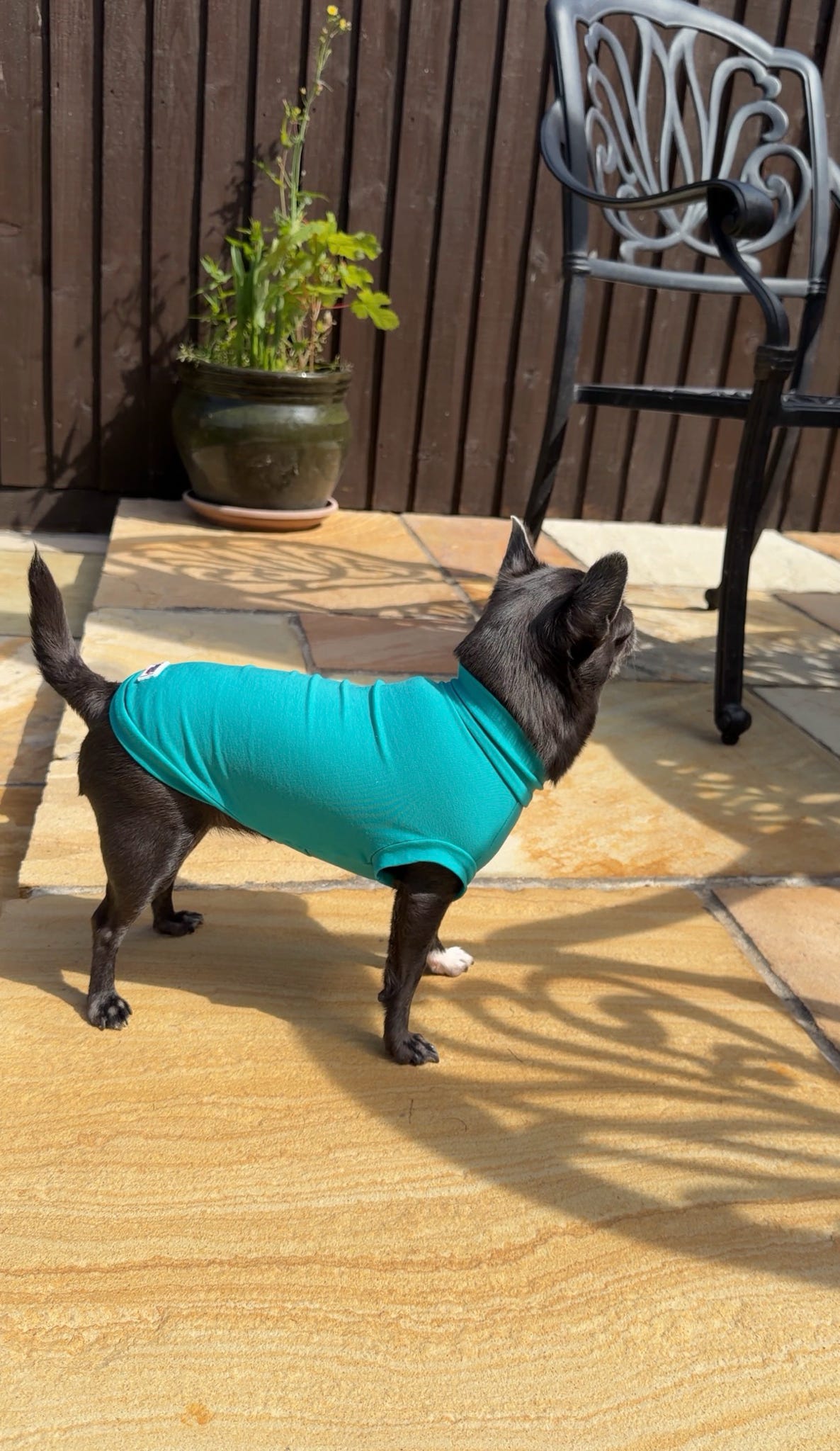 Ready To Ship | Cotton Cooling Tee - Turquoise
