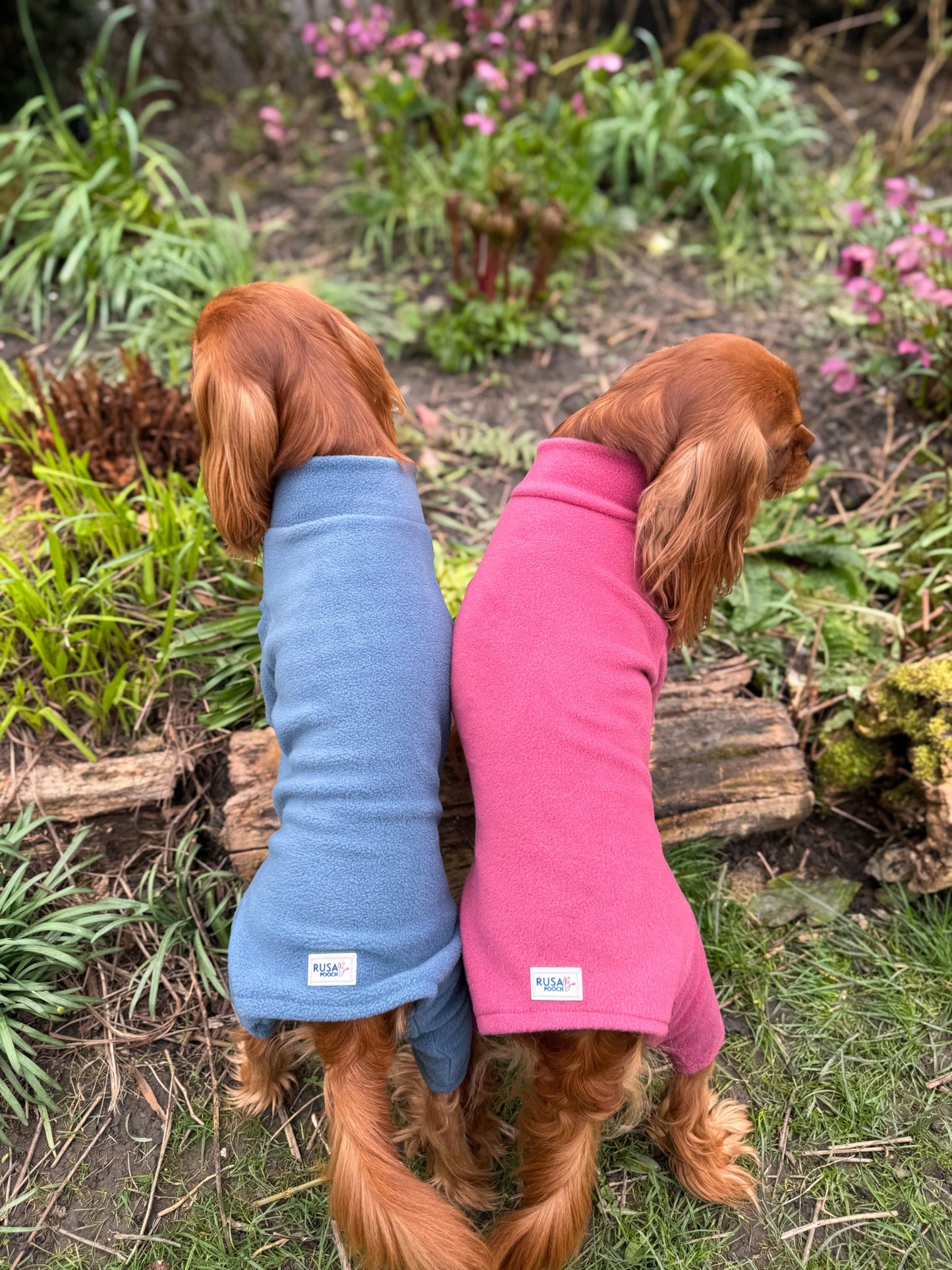 Ready To Ship | Polar Fleece | Four Legged - Denim