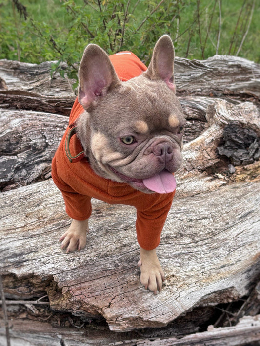 Ready To Ship | Polar Fleece | Four Legged - Rust