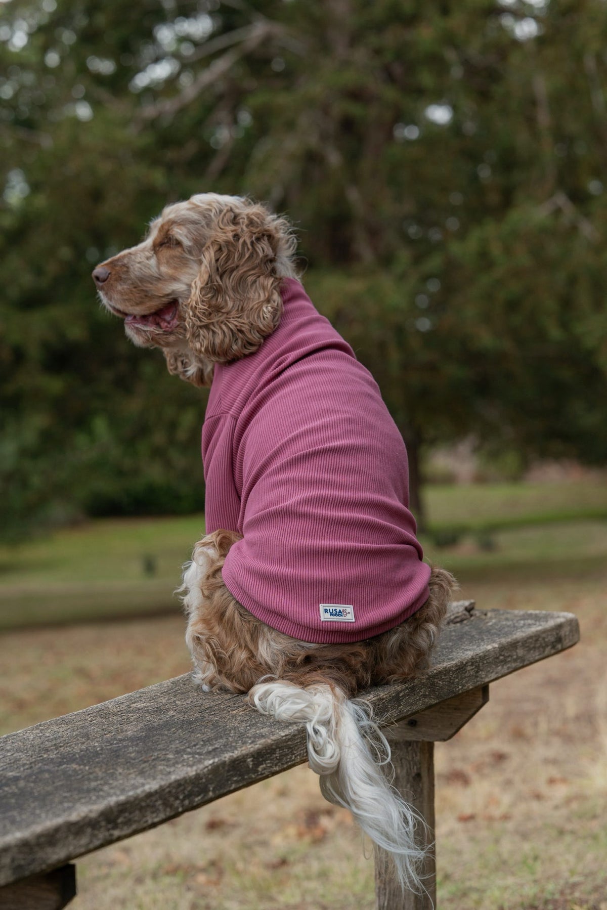 Custom Made | Jersey Rib | Two Legged - Mauve