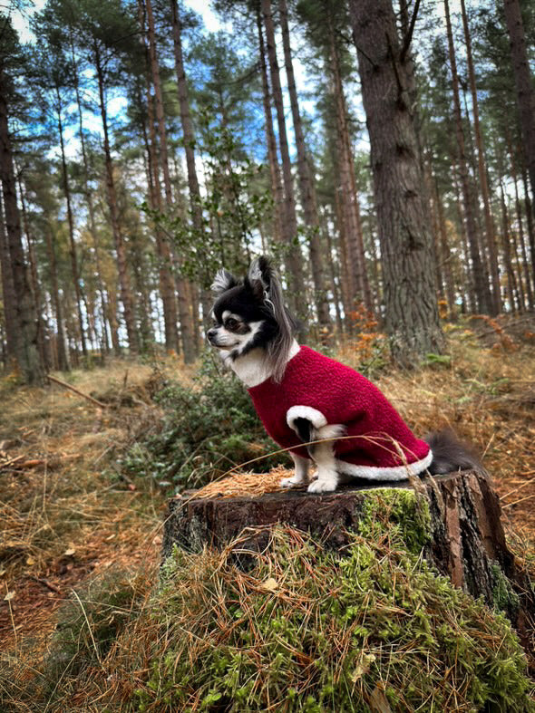 Teddy Borg Jumper | Tankie - Santa Paws