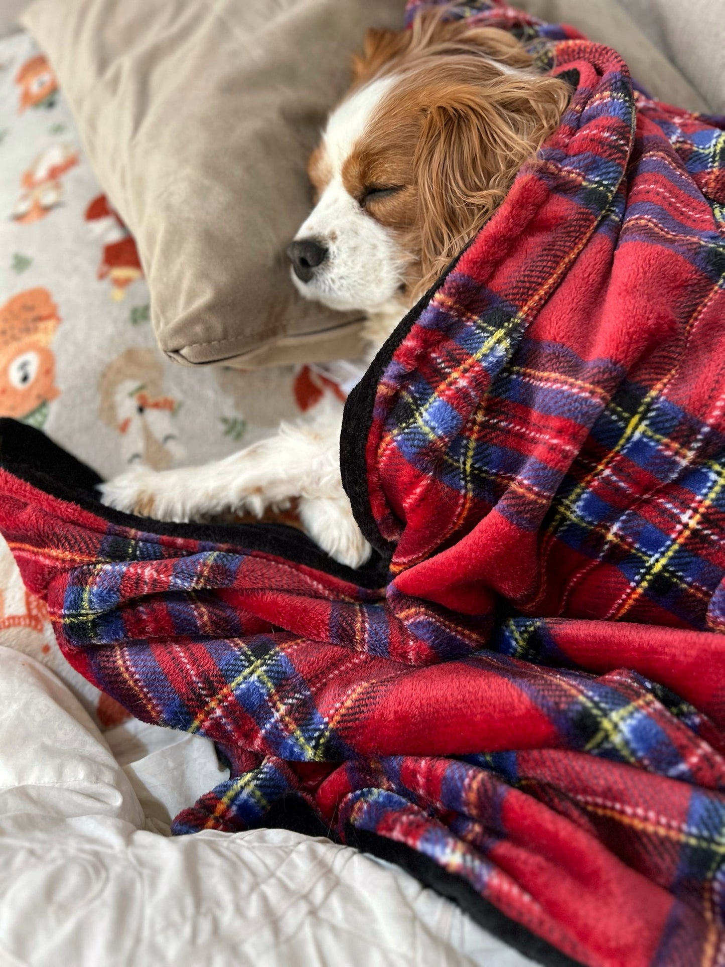 Custom Made | Blankie - Tartan Snuggles