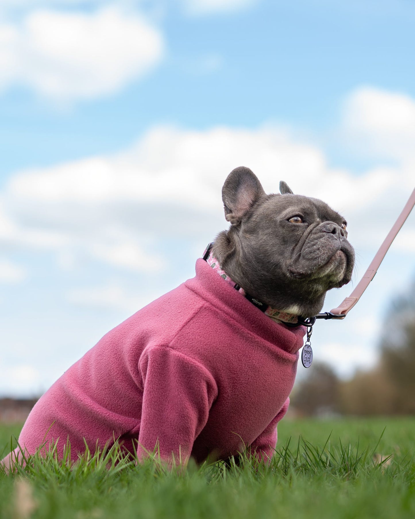Ready To Ship | Polar Fleece | Two Legged - Mauve