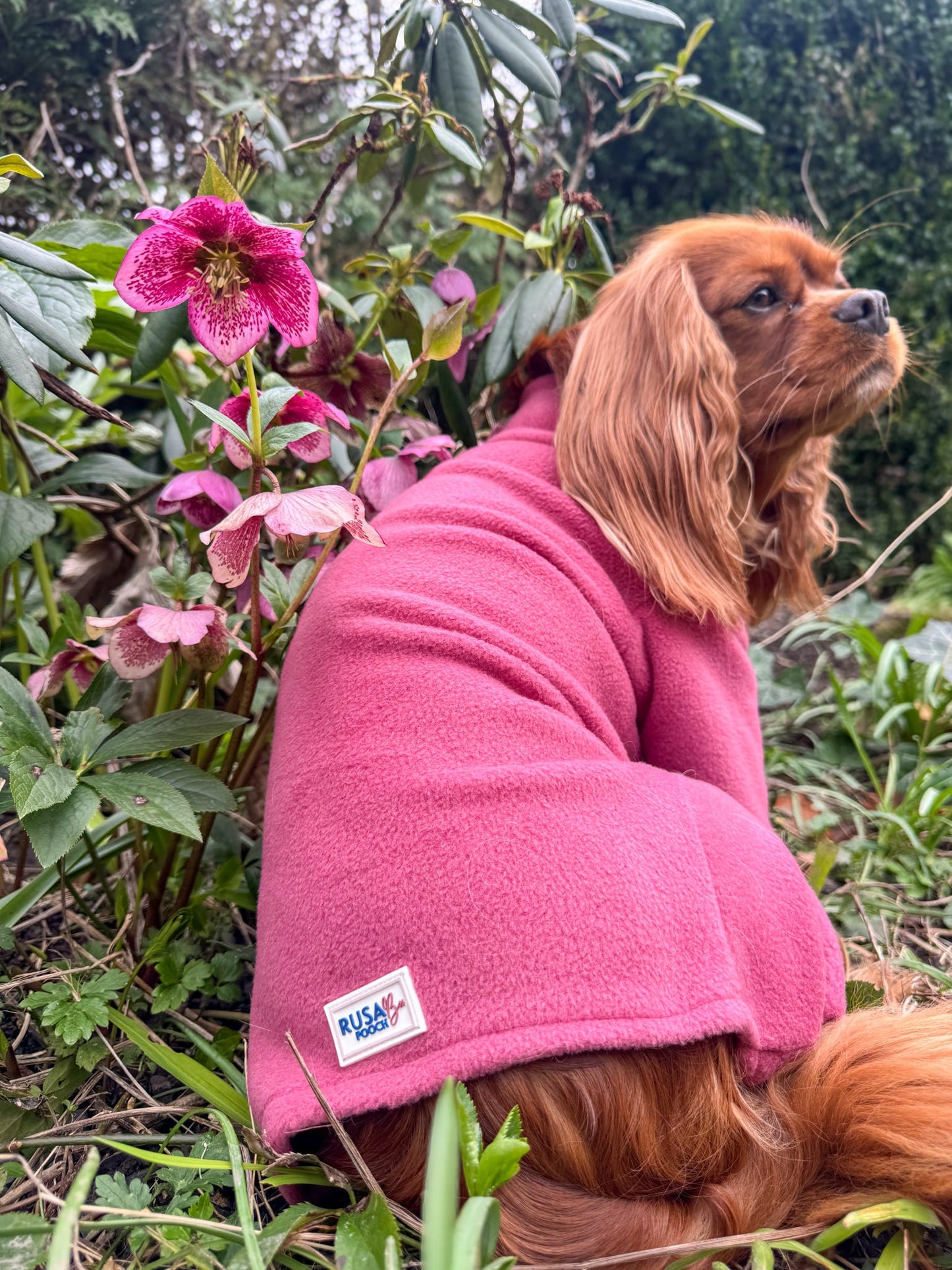 Ready To Ship | Polar Fleece | Four Legged - Mauve