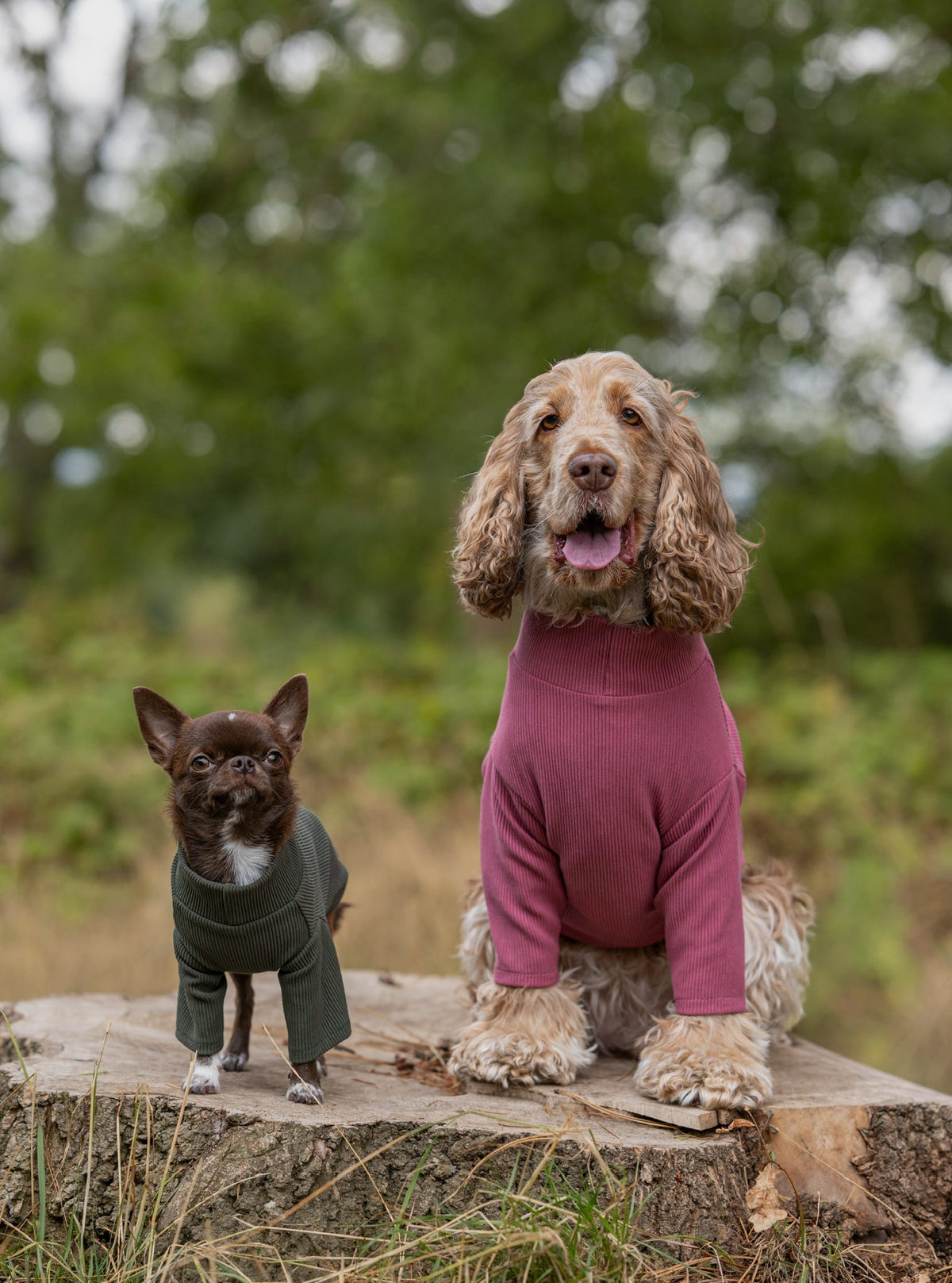 Custom Made | Jersey Rib | Two Legged - Mauve