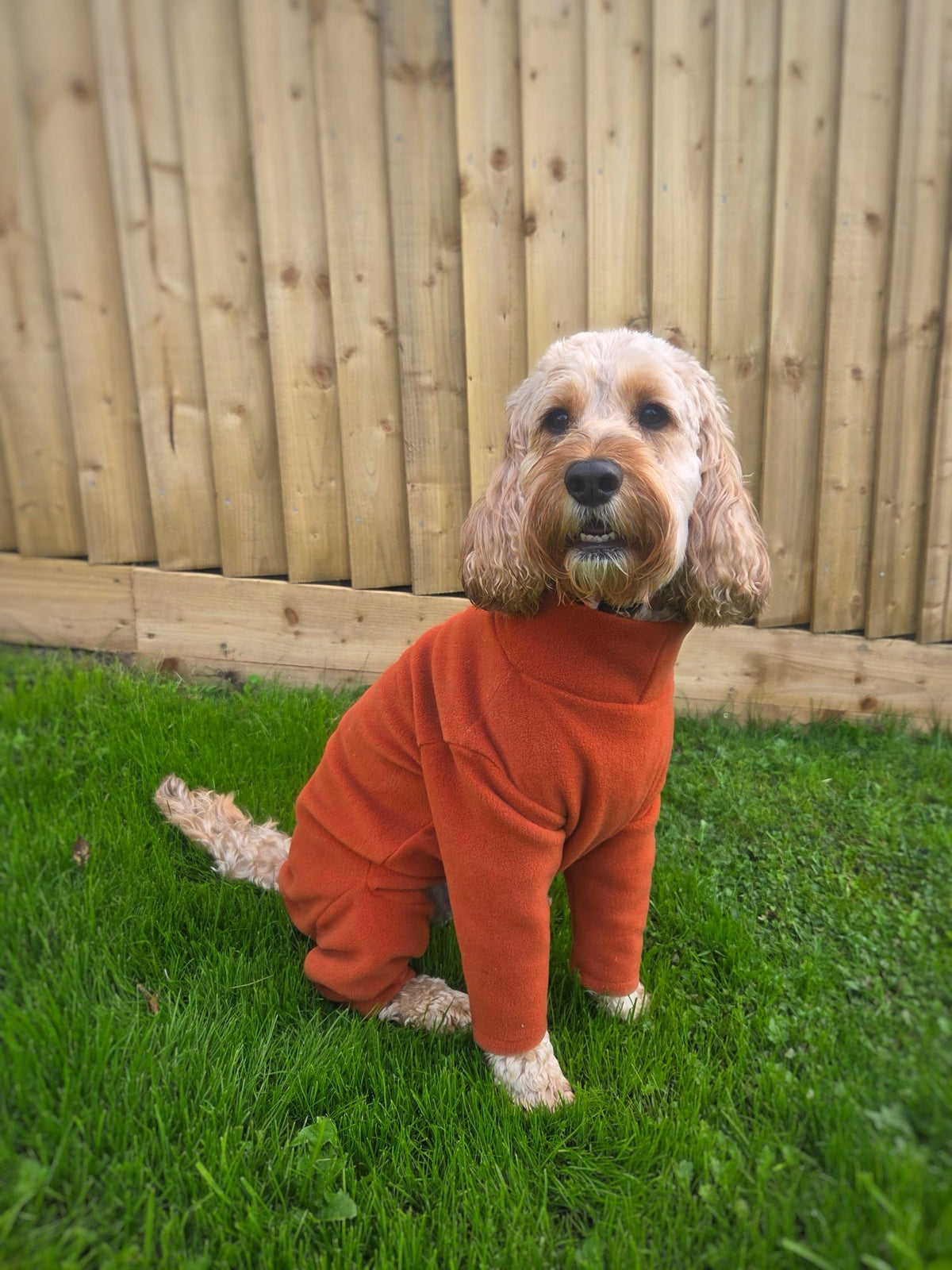 Ready To Ship | Polar Fleece | Four Legged - Rust