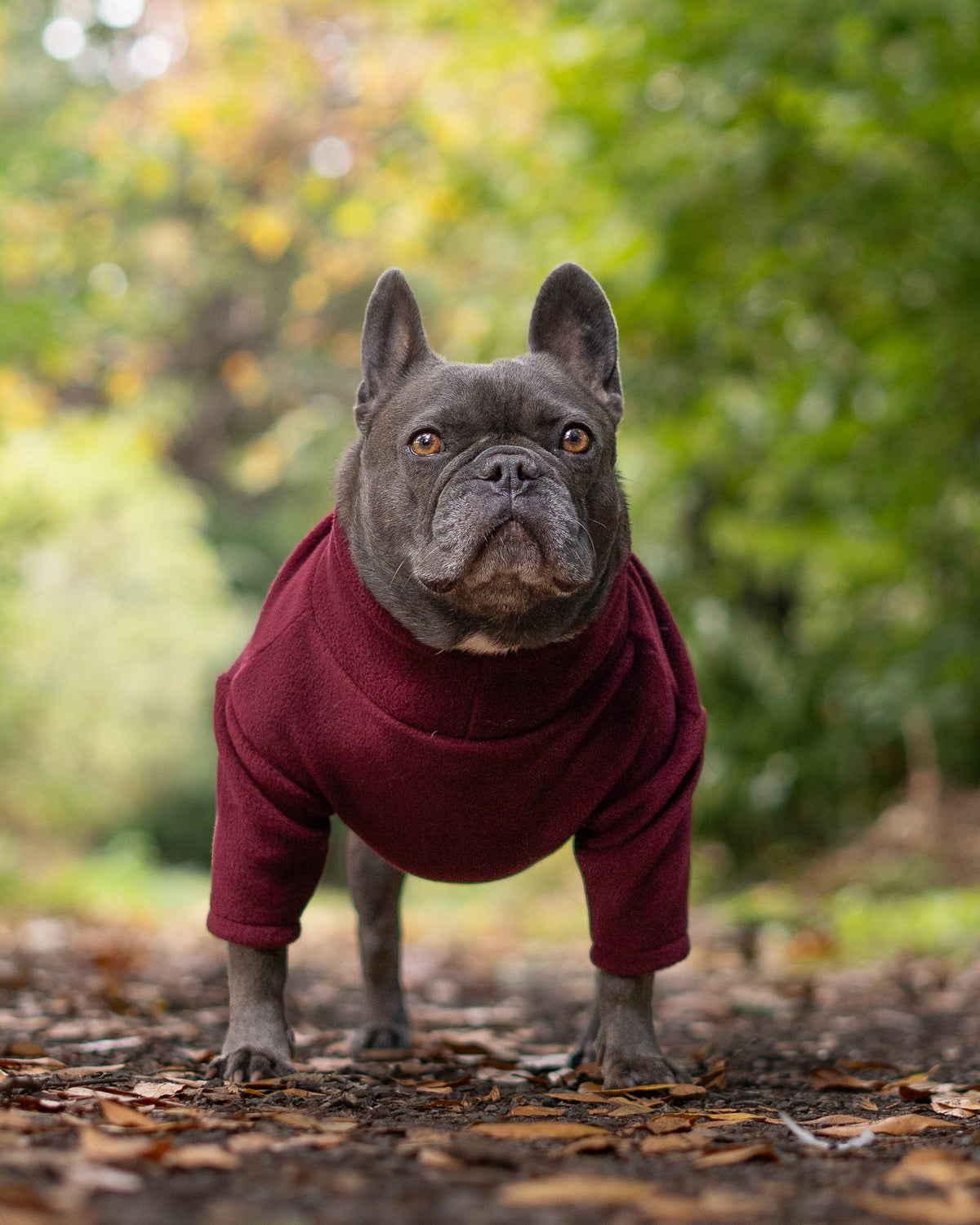 Ready To Ship | Polar Fleece | Two Legged - Wine Red