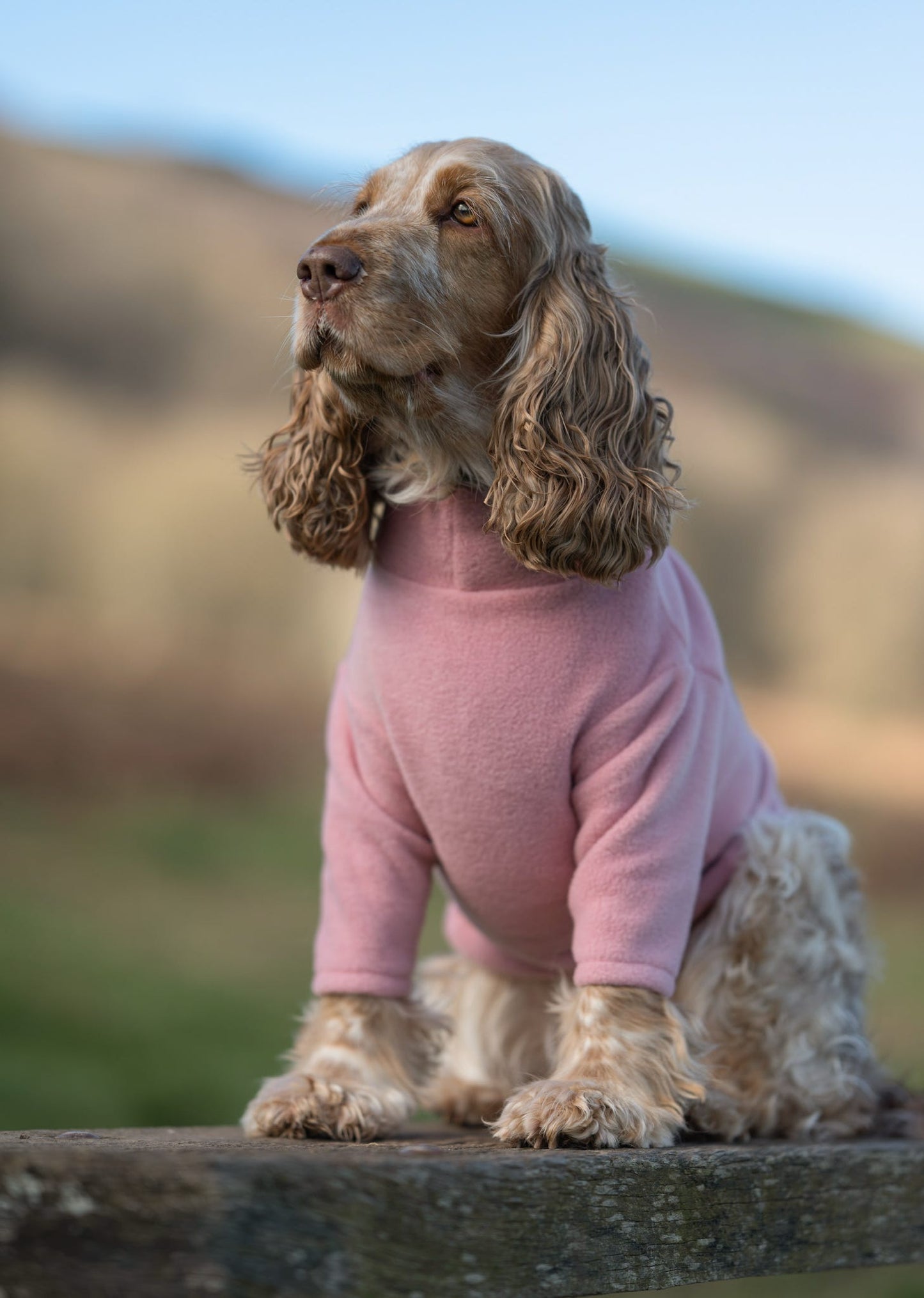 Custom Made | Polar Fleece | Two Legged - Candyfloss