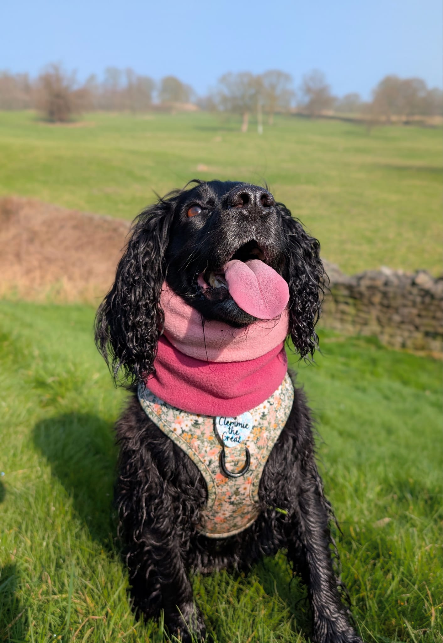 Ready To Ship | Snood - Pink