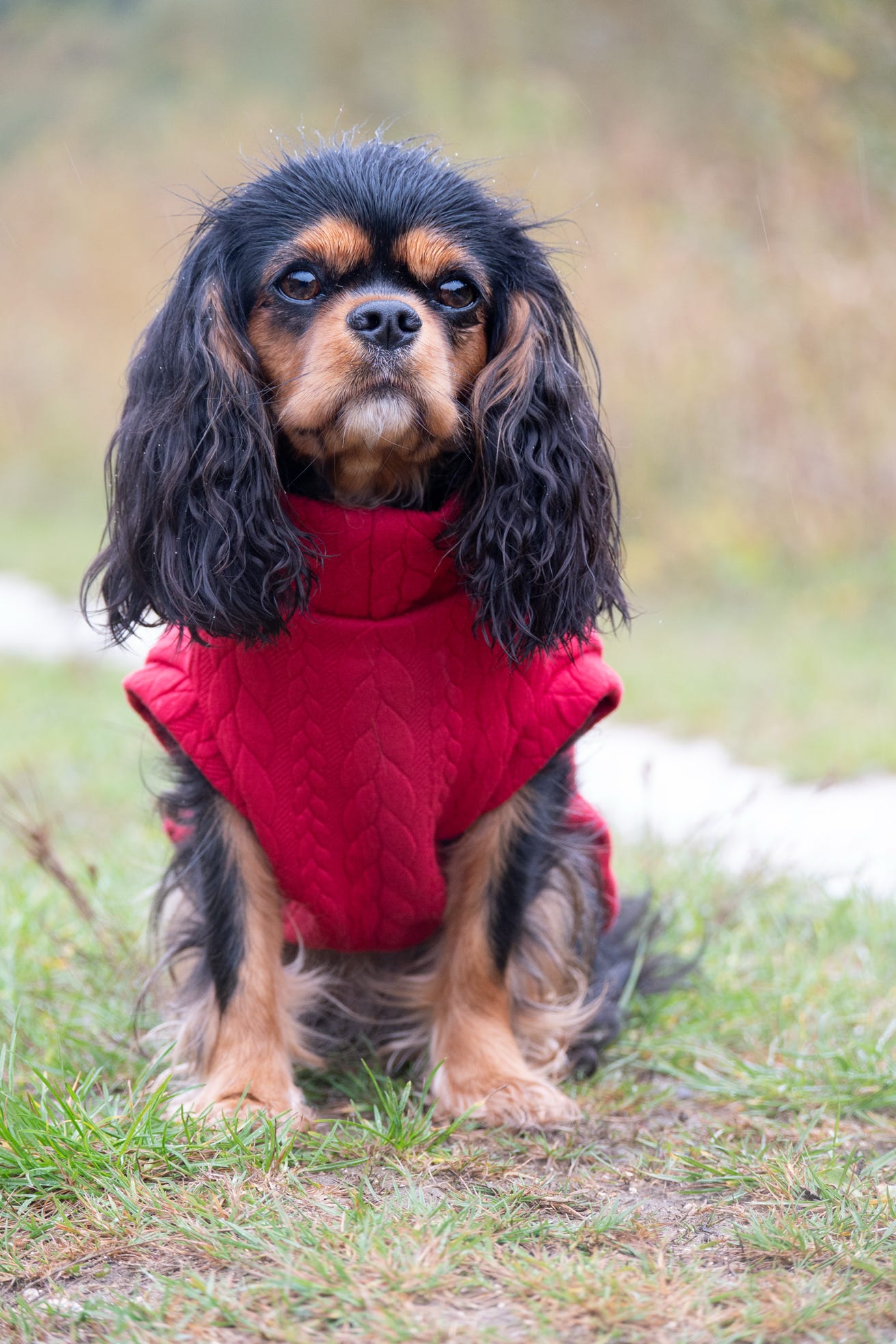 Custom Made | Cable Knit Jersey | Tankie - Red