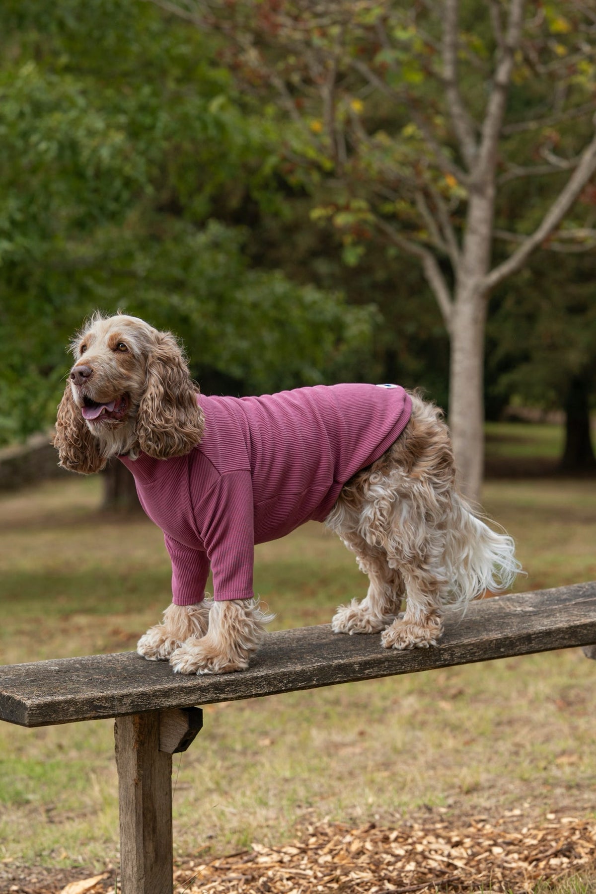 Custom Made | Jersey Rib | Two Legged - Mauve