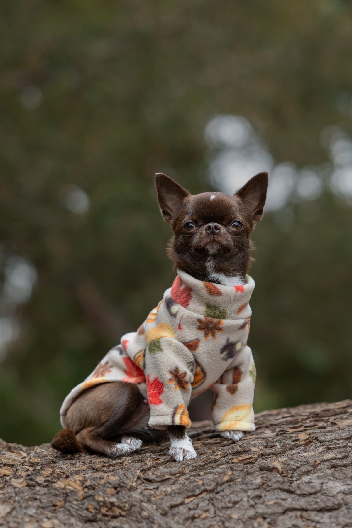 Custom Made | Polar Fleece | Two Legged - Autumn Pumpkin Print
