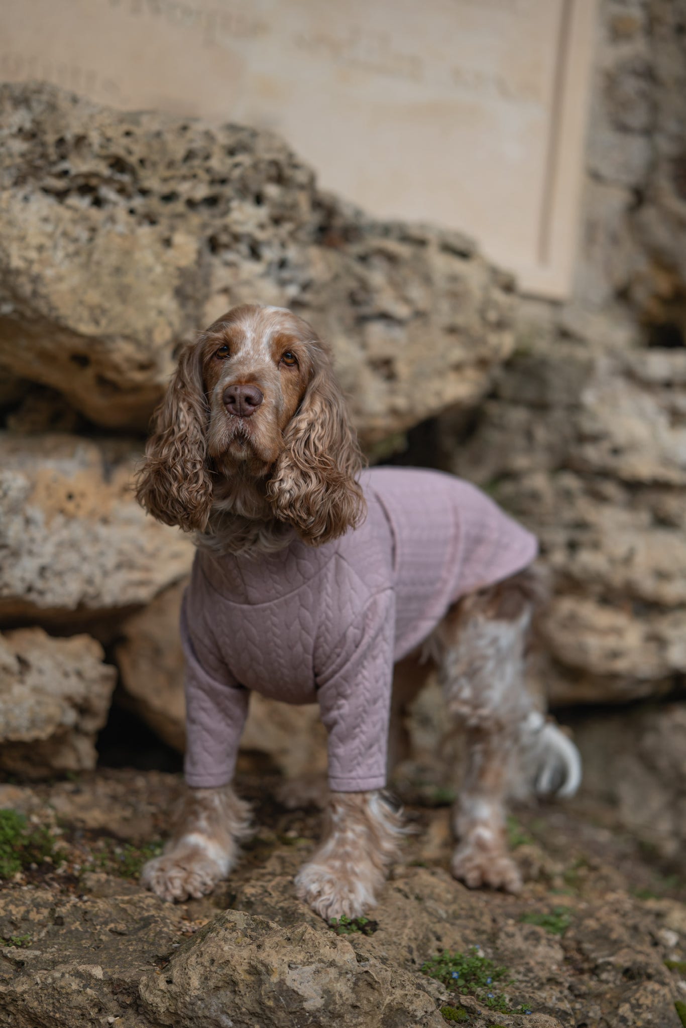 Custom Made | Cable Knit Jersey | Two Legged - Light Pink