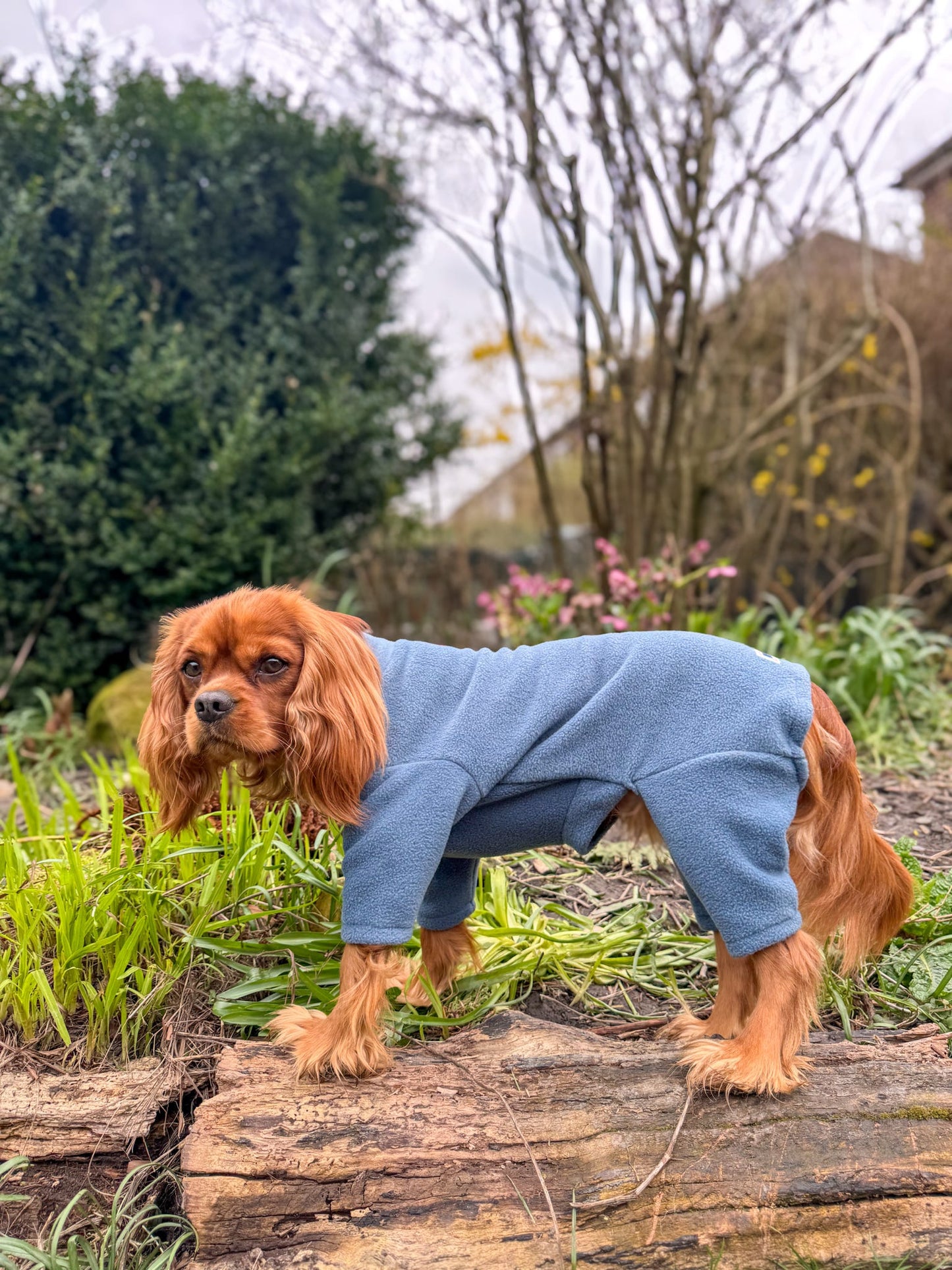 Ready To Ship | Polar Fleece | Four Legged - Denim