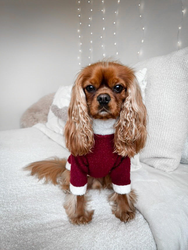 Teddy Borg Jumper | Two Legged - Santa Paws