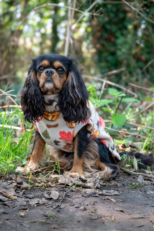 Custom Made | Polar Fleece | Tankie - Autumn Pumpkin Print