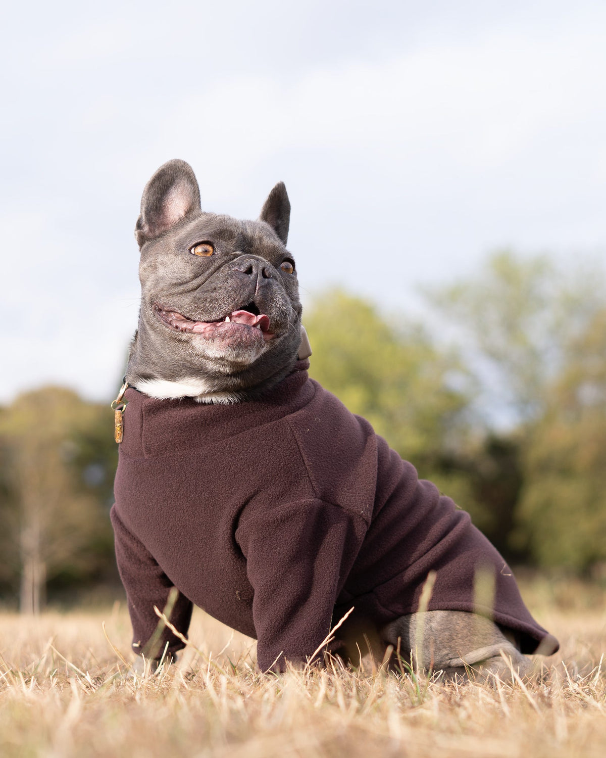 Ready To Ship | Polar Fleece | Two Legged - Chocolate
