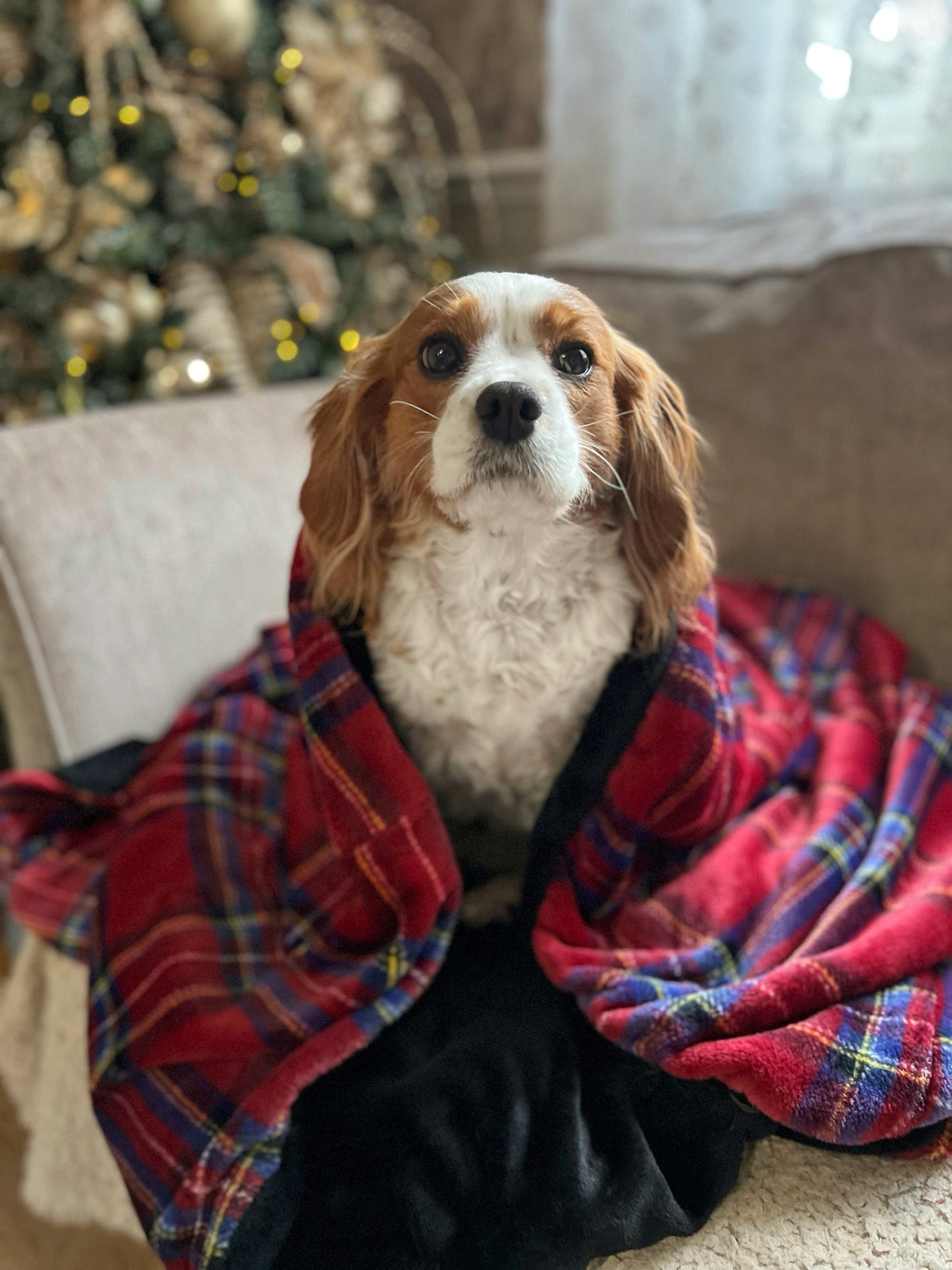 Custom Made | Snuggle Sack - Tartan Snuggles