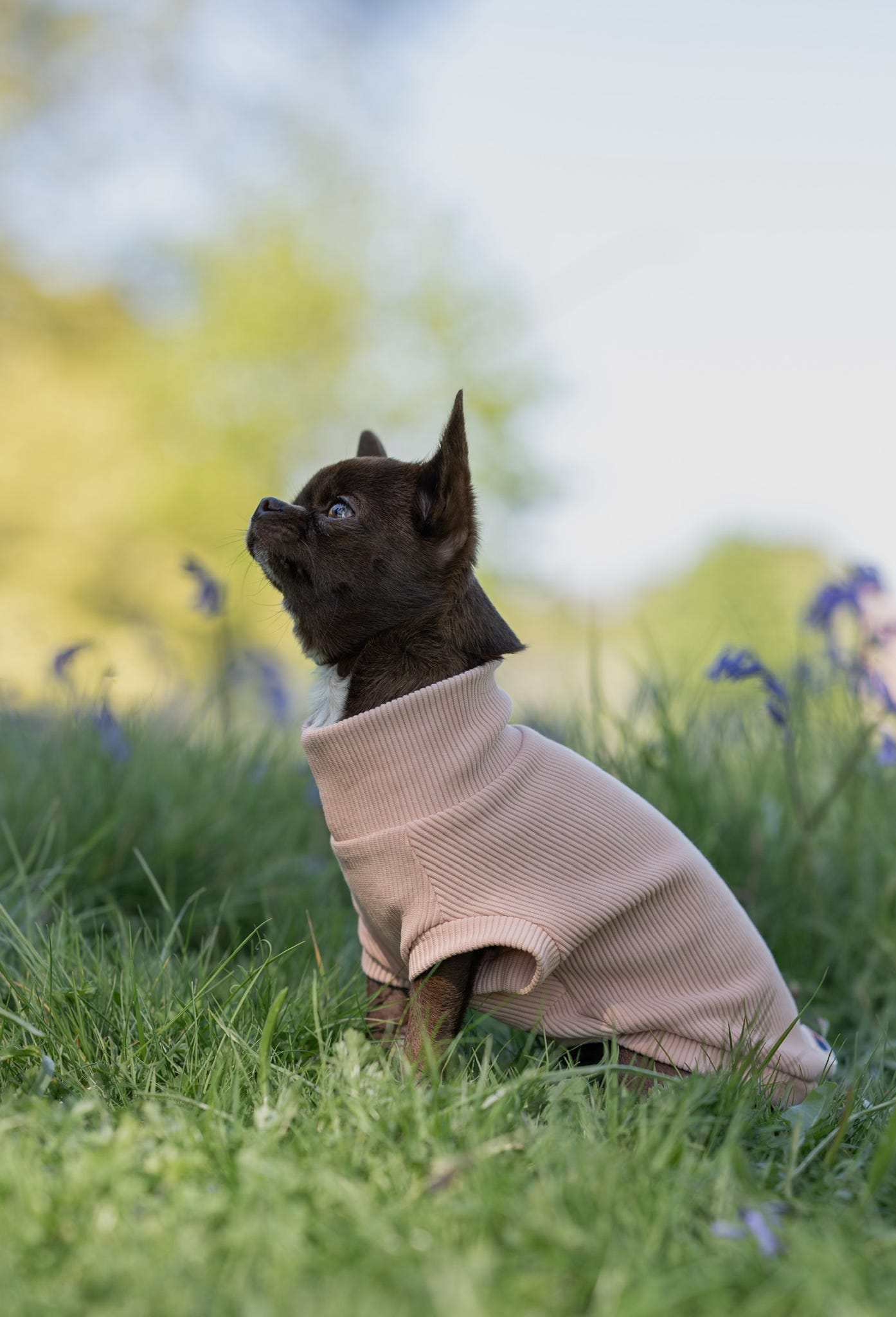 Custom Made | Jersey Rib | Tankie - Blossom