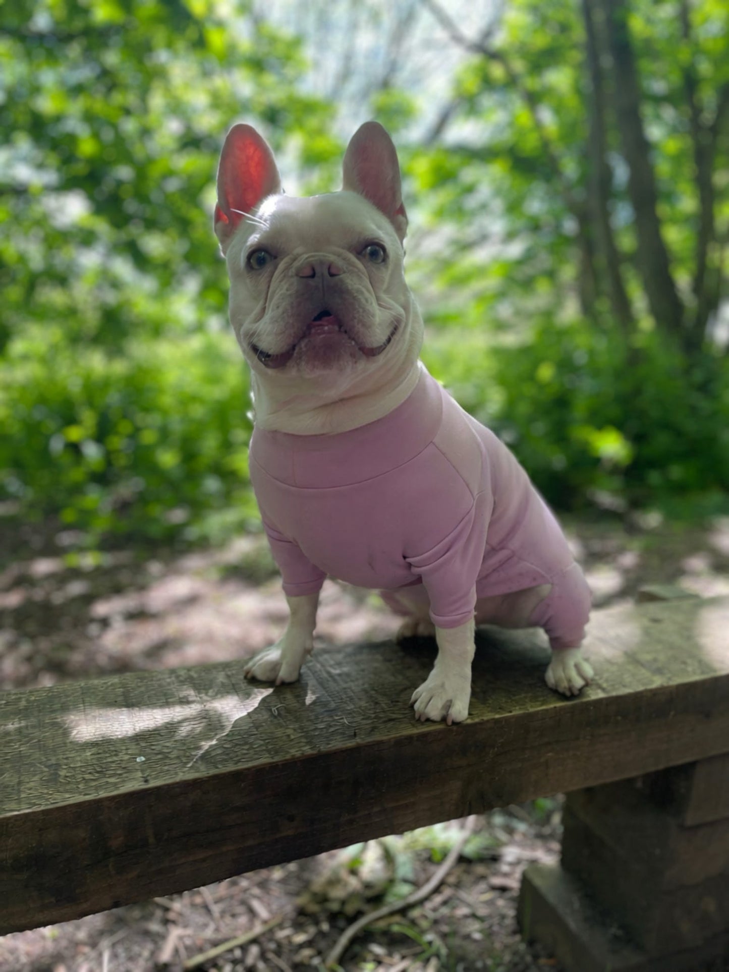 Ready To Ship | Summer Suit | Four Legged - Lilac