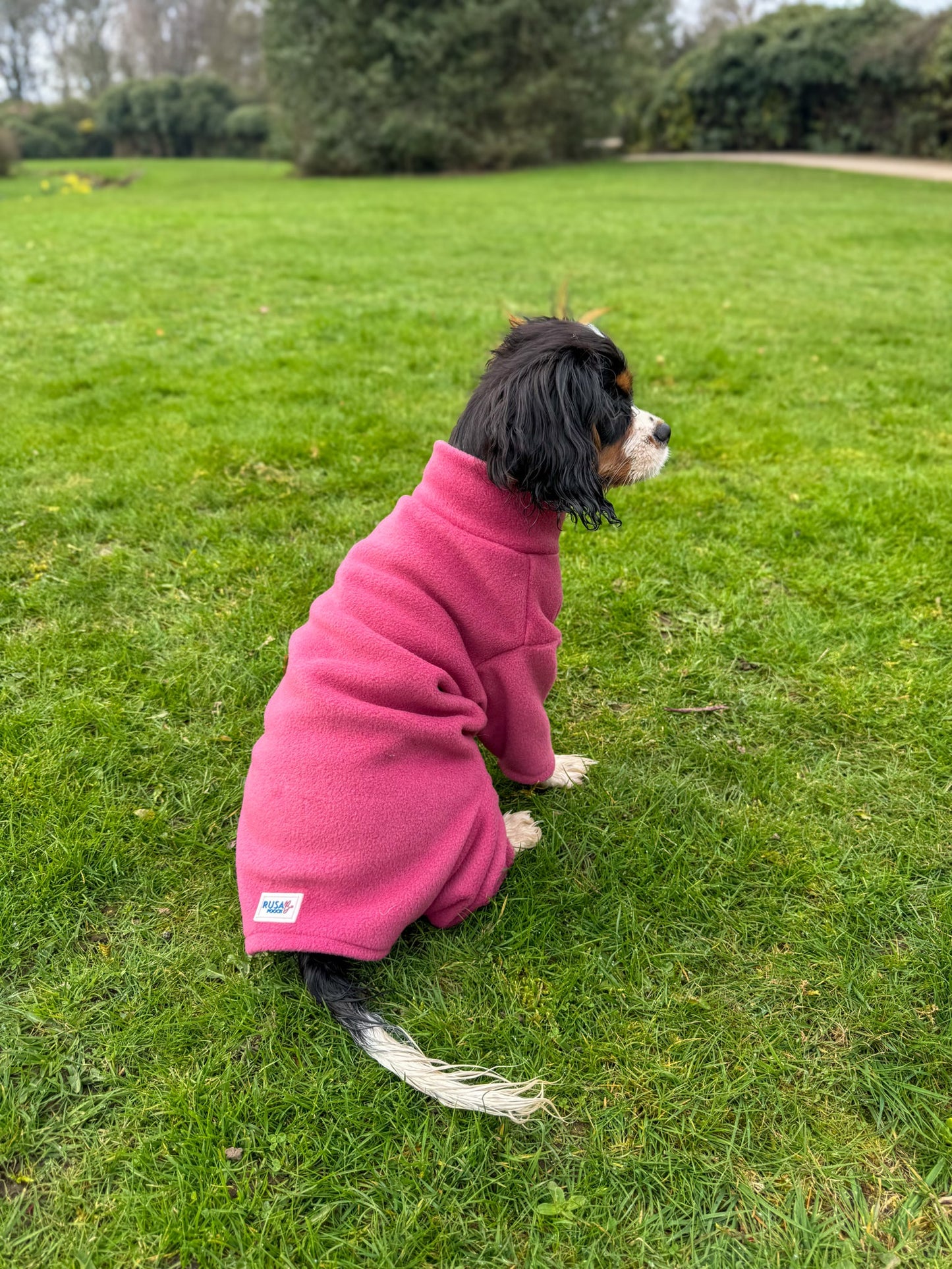 Ready To Ship | Polar Fleece | Four Legged - Mauve