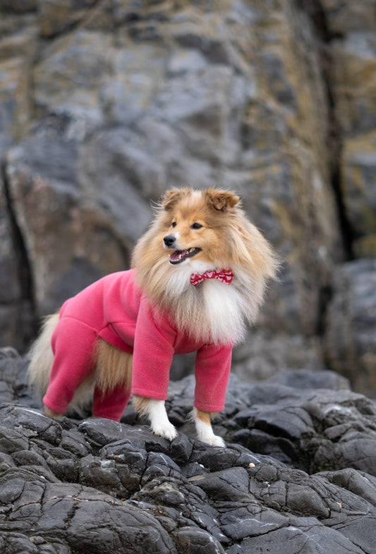 Ready To Ship | Polar Fleece | Four Legged - Coral