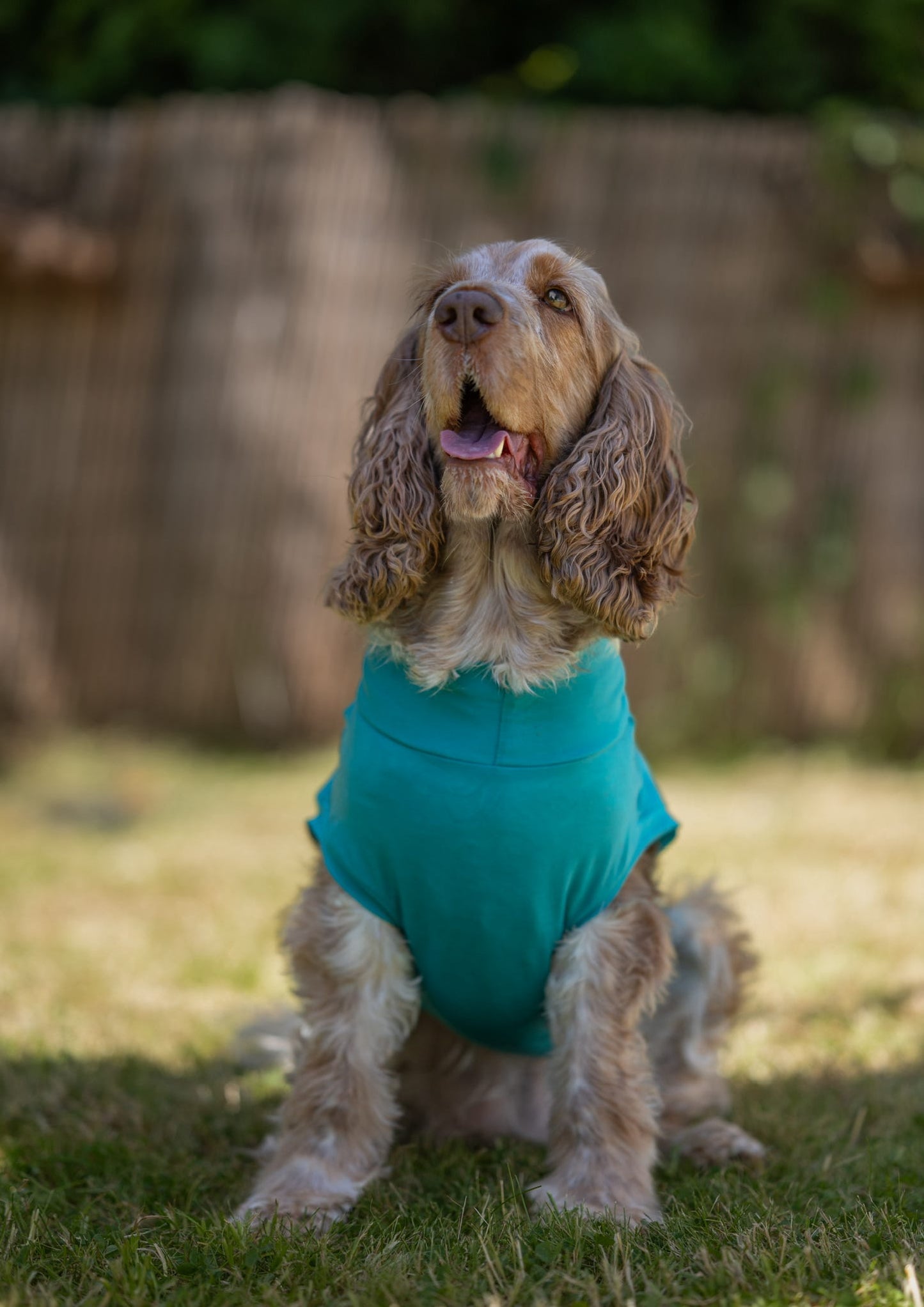 Ready To Ship | Cotton Cooling Tee - Turquoise