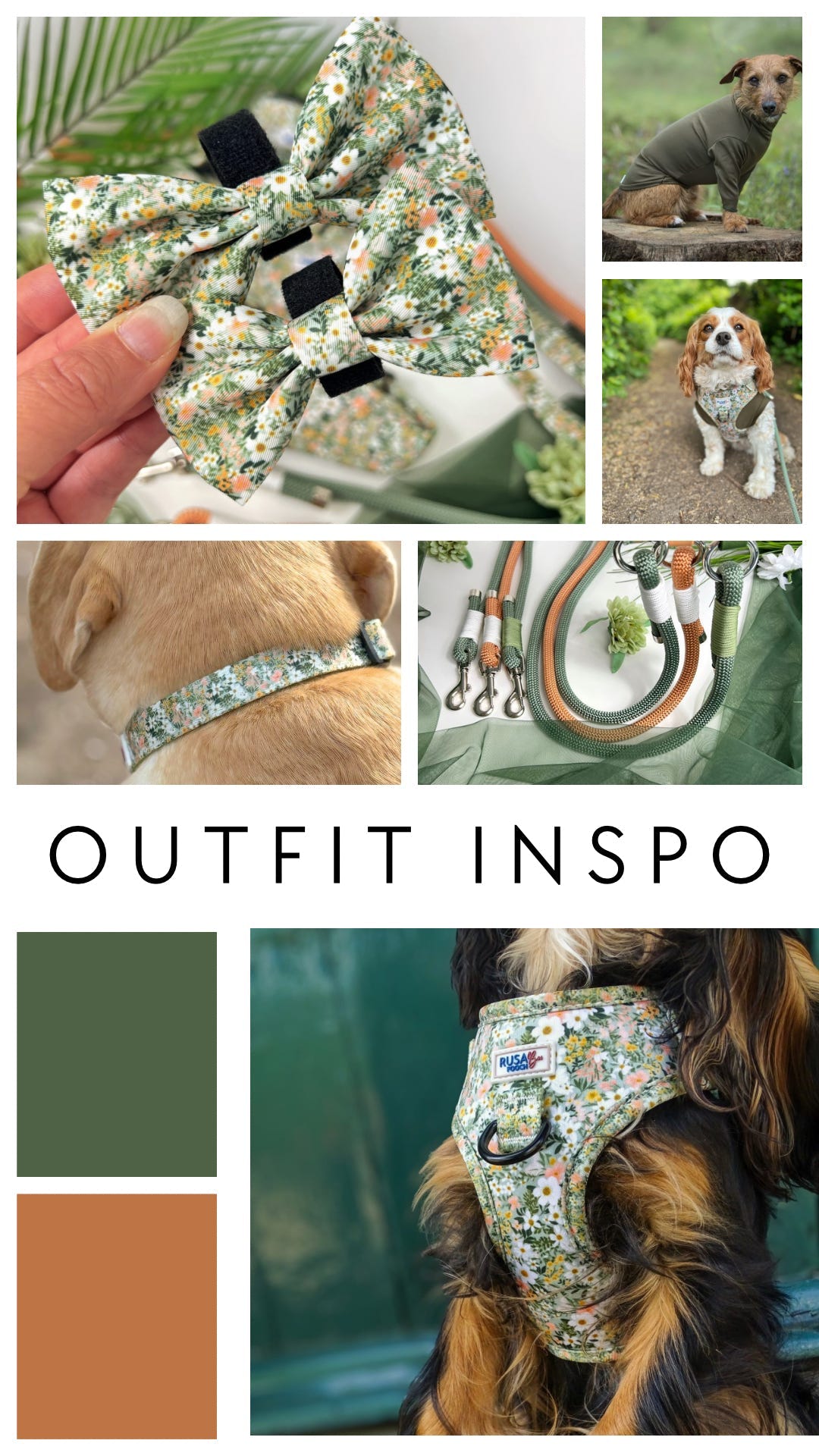 Big Saver Bundle | Adjustable Harness, Lead & Poo Bag Holder - The Secret Garden