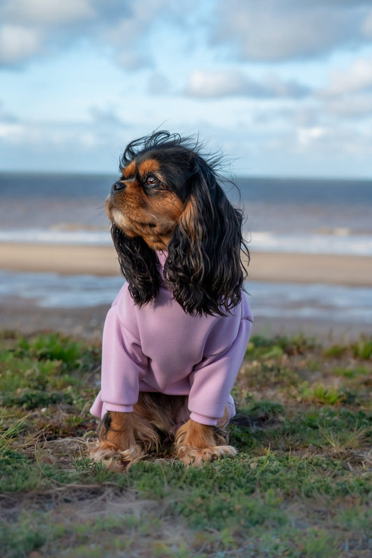 Ready To Ship | Summer Suit | Four Legged - Lilac
