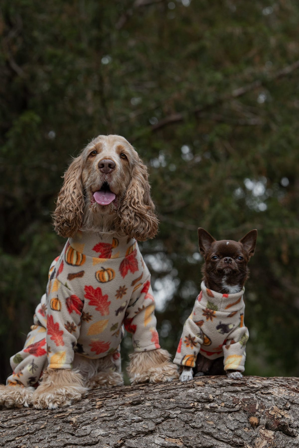 Custom Made | Polar Fleece | Two Legged - Autumn Pumpkin Print