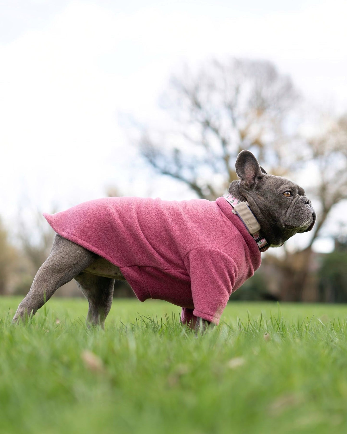 Ready To Ship | Polar Fleece | Two Legged - Mauve