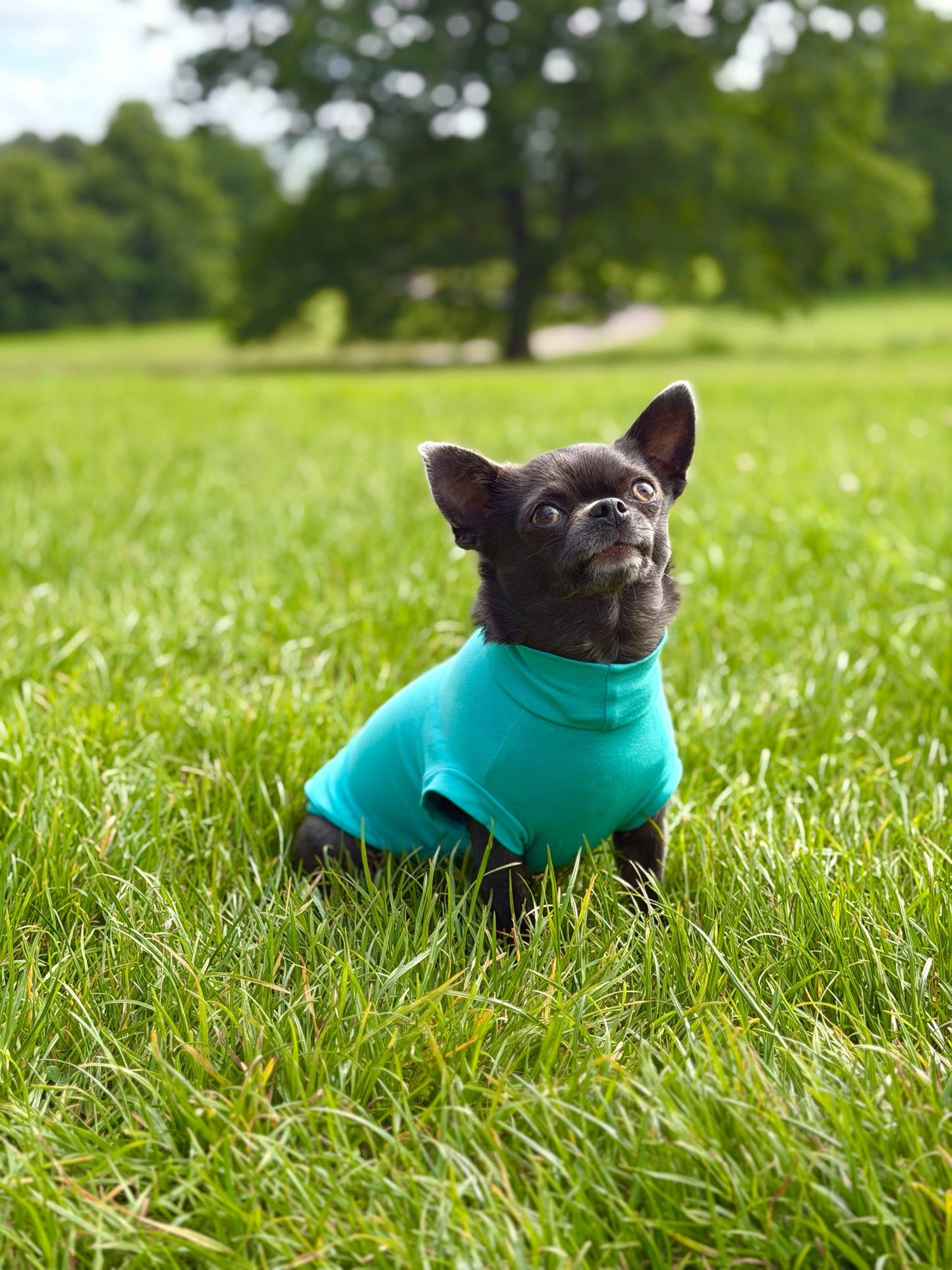 Ready To Ship | Cotton Cooling Tee - Turquoise
