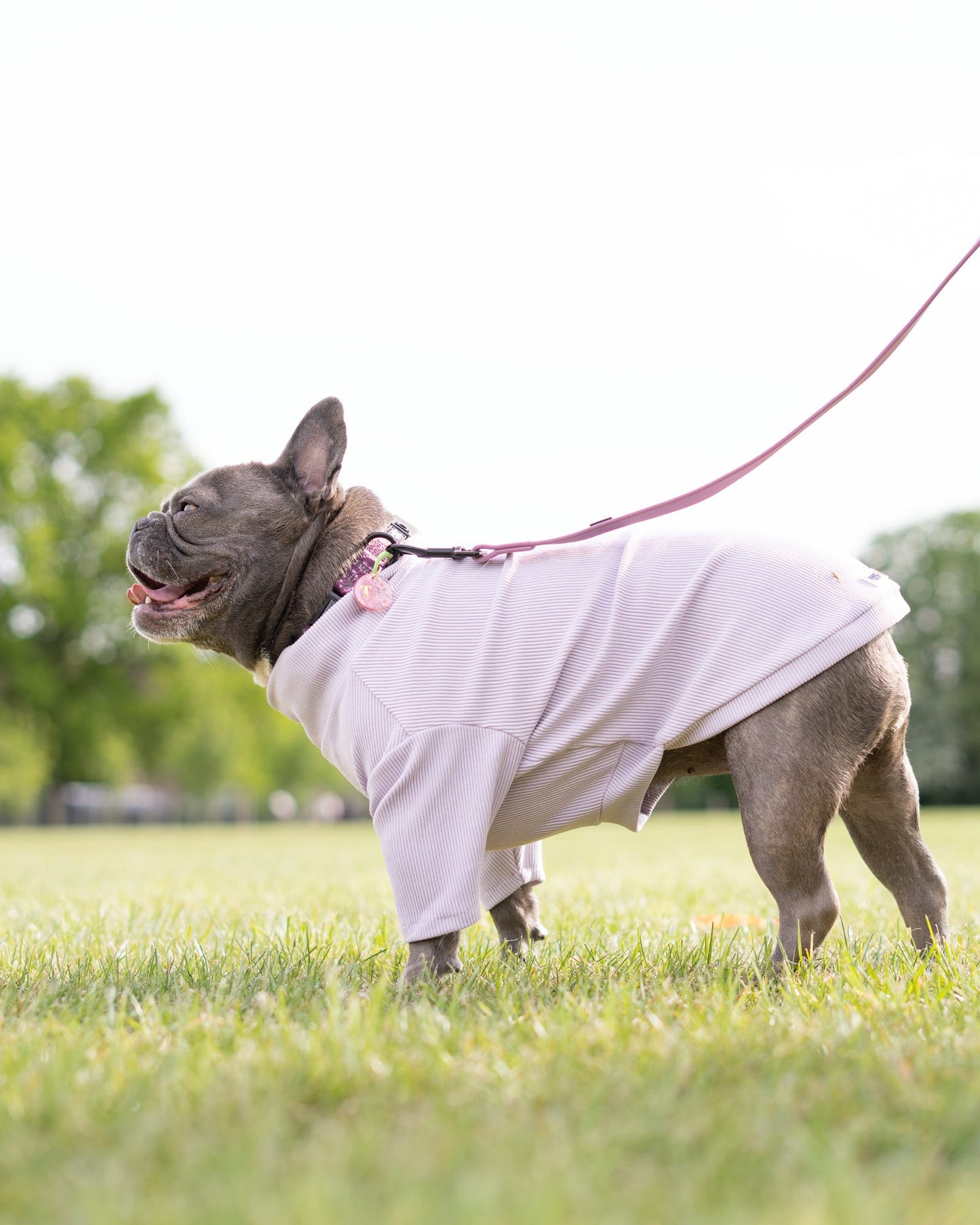 Custom Made | Jersey Rib | Two Legged - Lavender