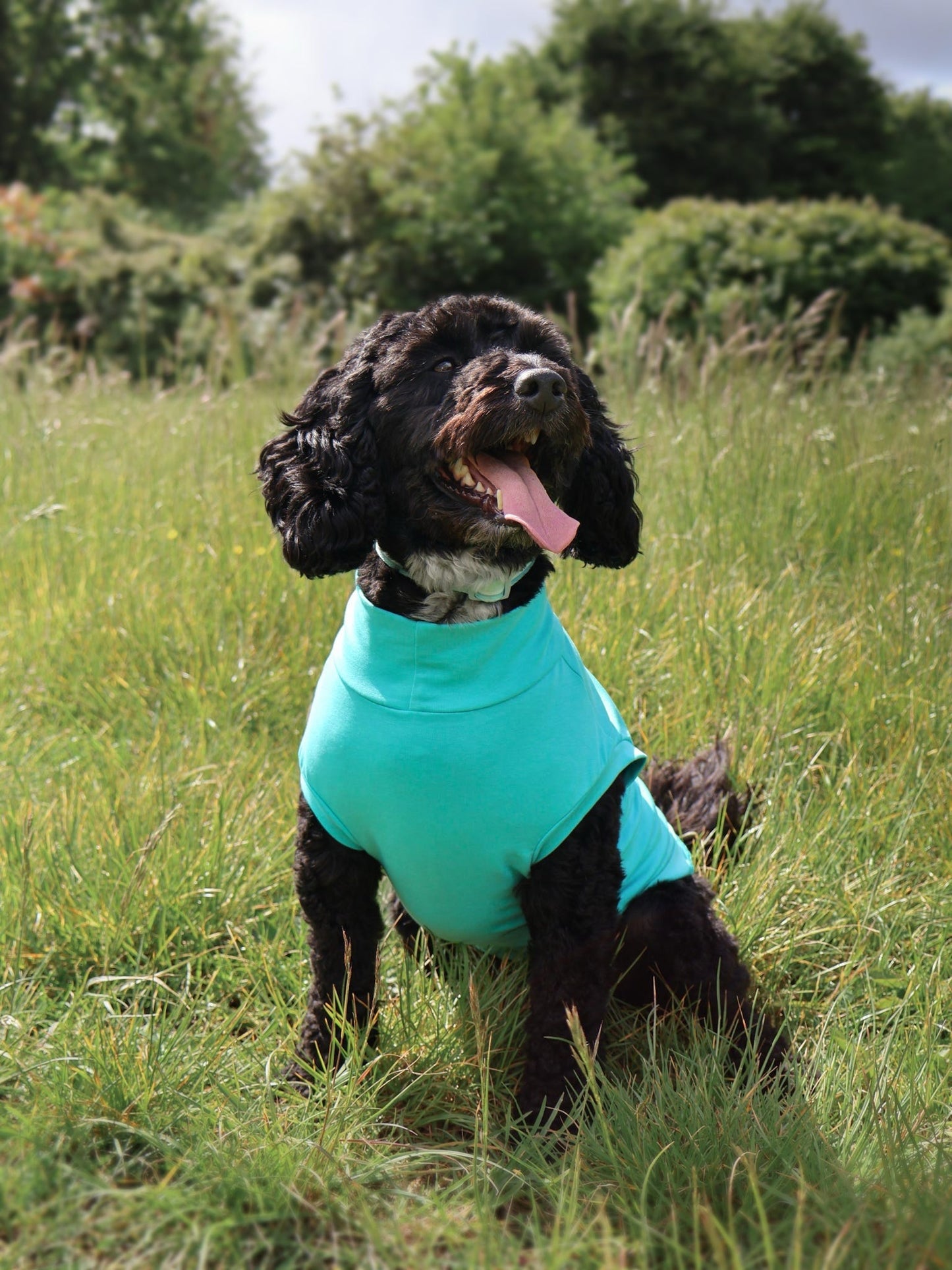 Ready To Ship | Cotton Cooling Tee - Turquoise
