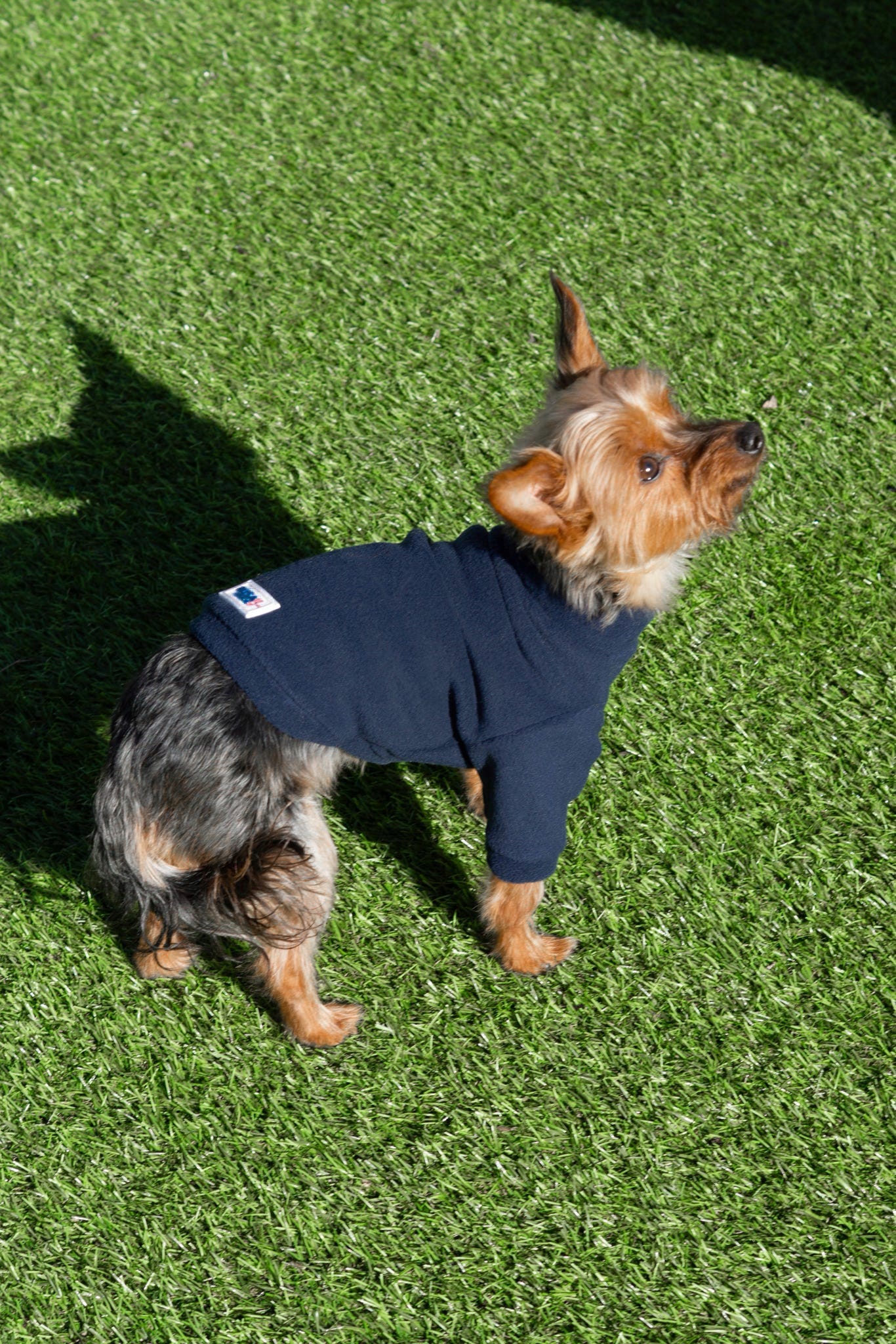 Ready To Ship | Polar Fleece | Two Legged - Navy