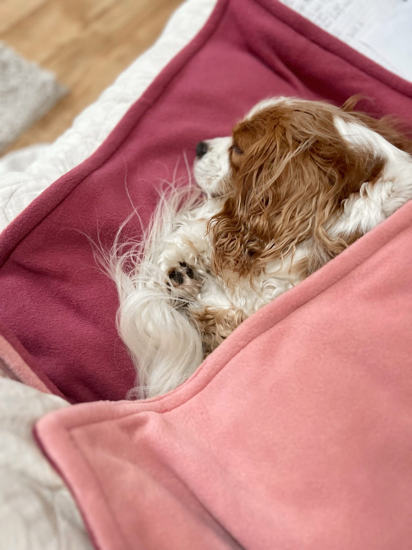 Ready To Ship | Blanket | Polar Fleece - Pink