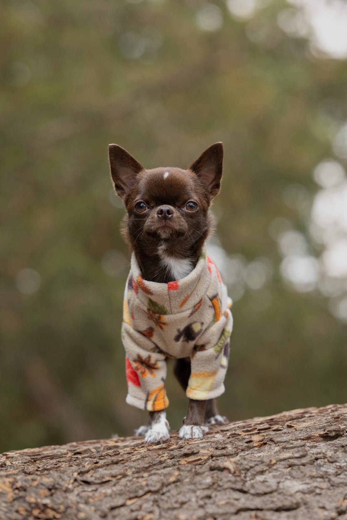 Custom Made | Polar Fleece | Two Legged - Autumn Pumpkin Print
